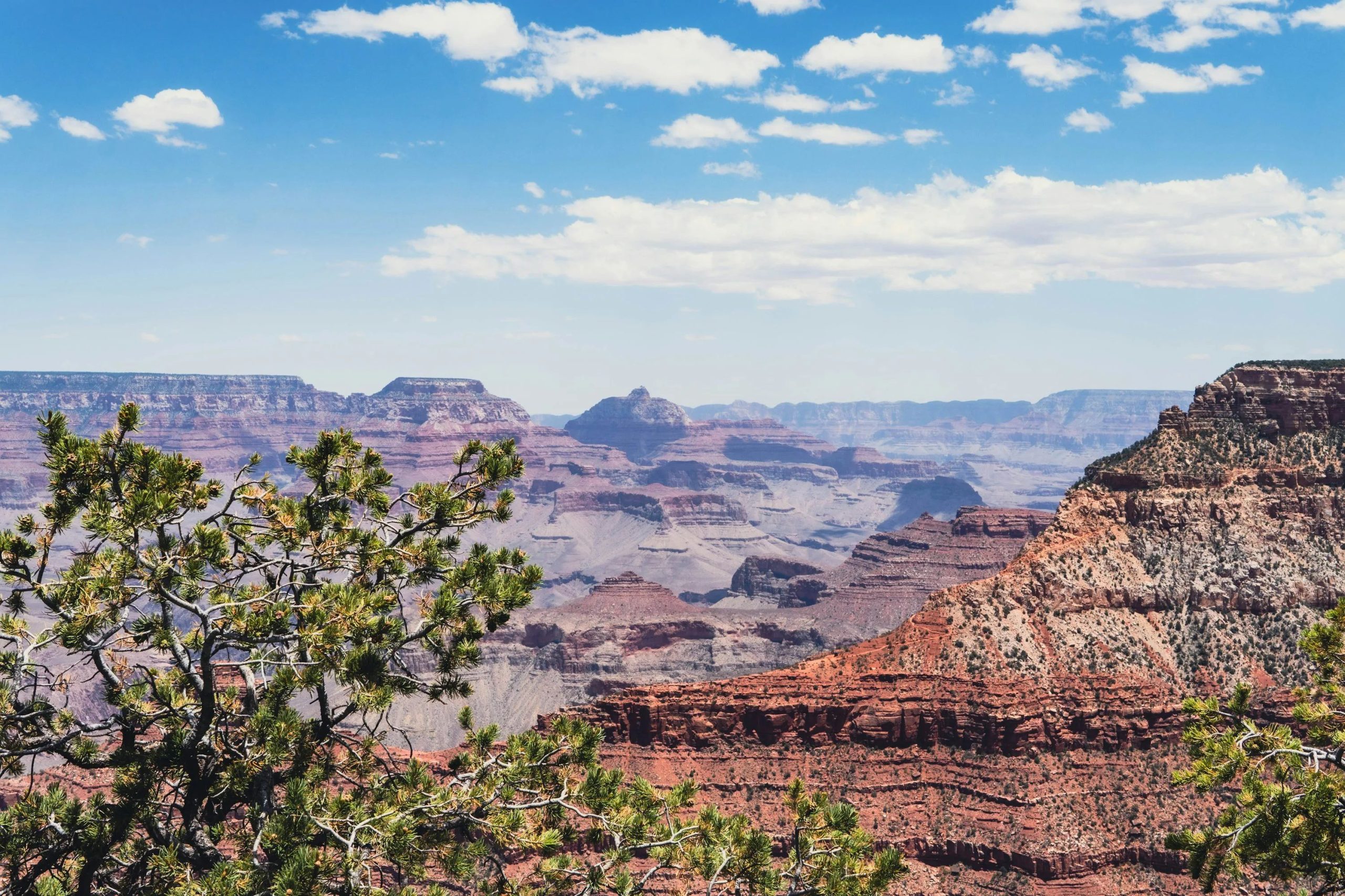 A view of the grand canyon from a distance