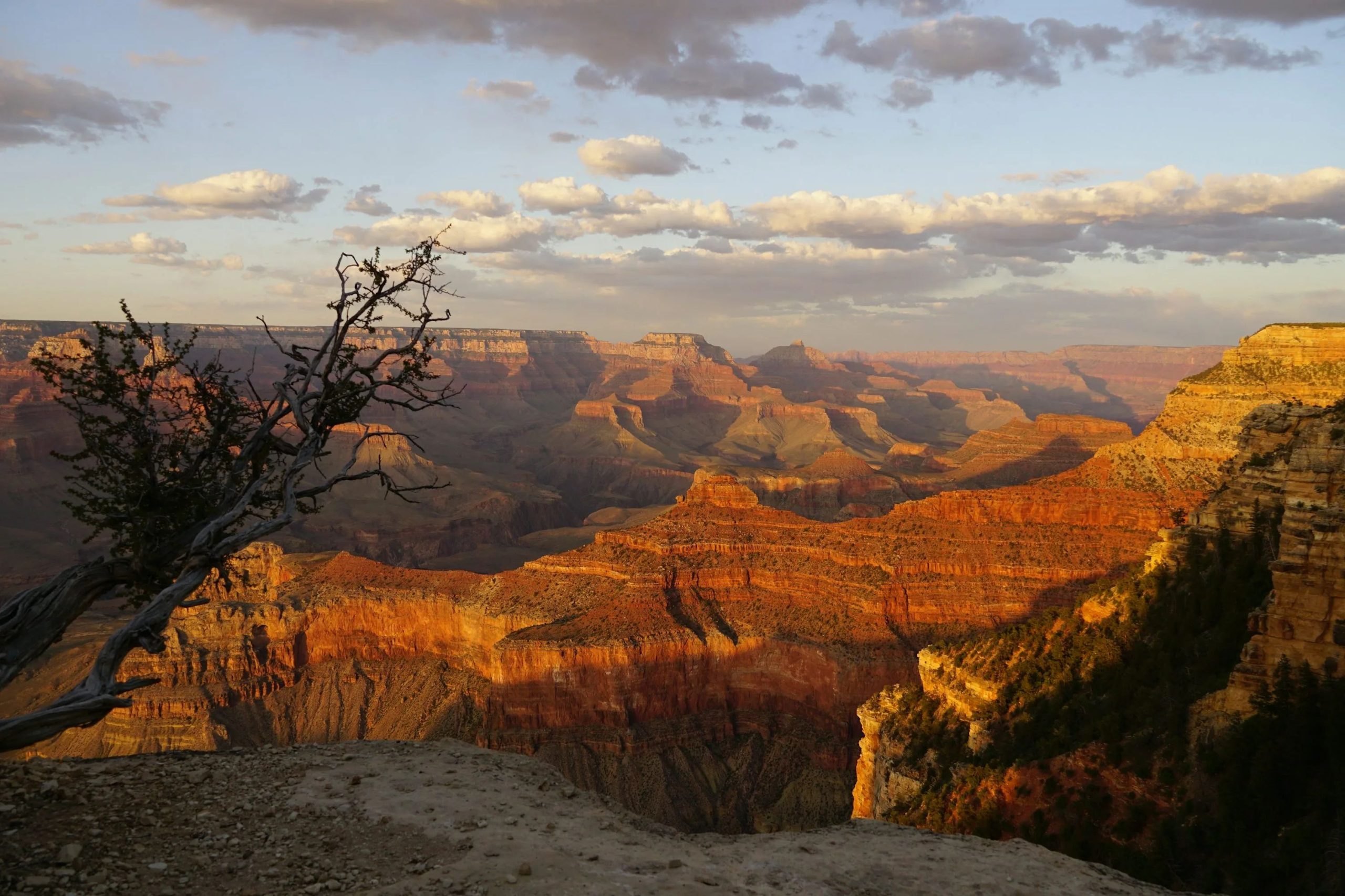 A view of the grand canyon at sunset