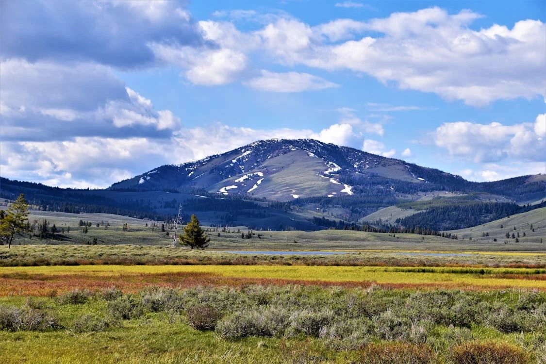 Free Explore the rolling hills and picturesque views of Gardiner, Montana with vibrant fields under a blue sky. Stock Photo