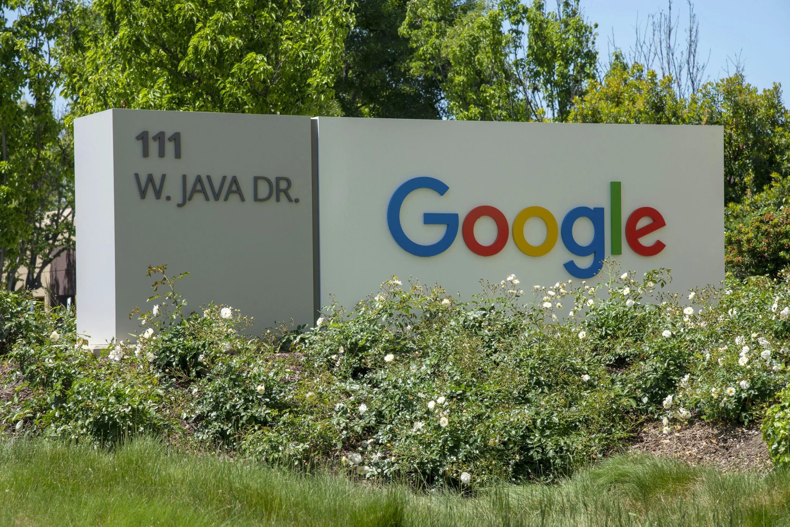 a google sign in front of some bushes and trees